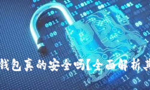 区块链电子钱包真的安全吗？全面解析其功能与风险