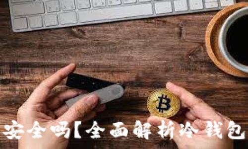   
比特币放在冷钱包安全吗？全面解析冷钱包的安全性与实用性