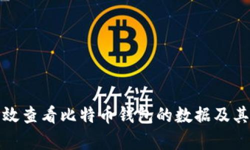 如何有效查看比特币钱包的数据及其重要性
