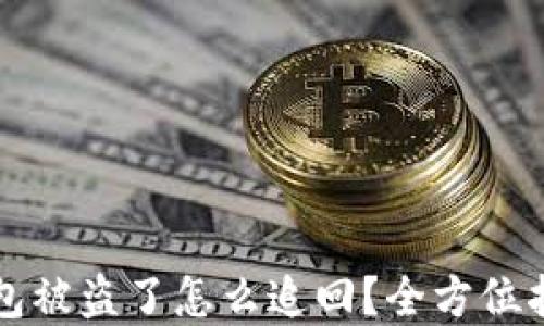 
虚拟币钱包被盗了怎么追回？全方位指南与建议