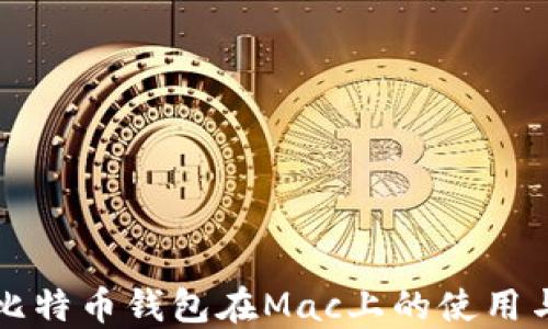 
详解比特币钱包在Mac上的使用与推荐