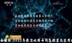  全面解析：2023年最佳比特