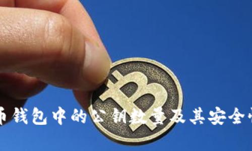 比特币钱包中的公钥数量及其安全性分析