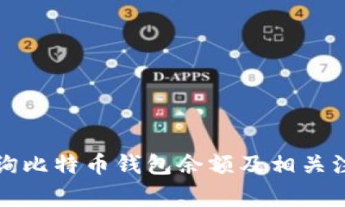 如何查询比特币钱包余额及相关注意事项