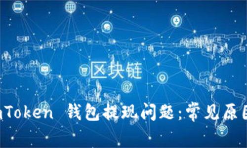 如何解决 imToken 钱包提现问题：常见原因与解决方案