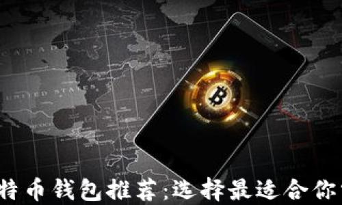 
2023年最佳比特币钱包推荐：选择最适合你需求的安全钱包