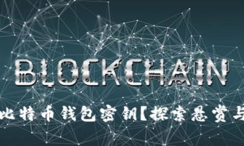 如何找回比特币钱包密钥？探索悬赏与恢复方法