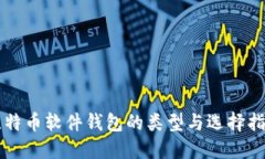 比特币软件钱包的类型与