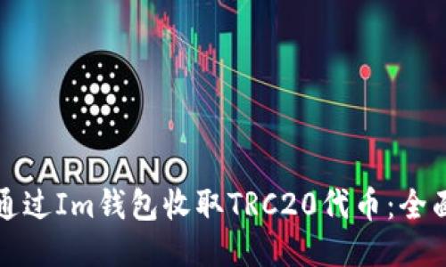 如何通过Im钱包收取TRC20代币：全面指南