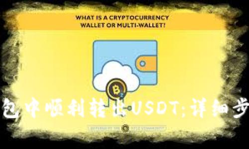 如何在麦子钱包中顺利转出USDT：详细步骤与注意事项