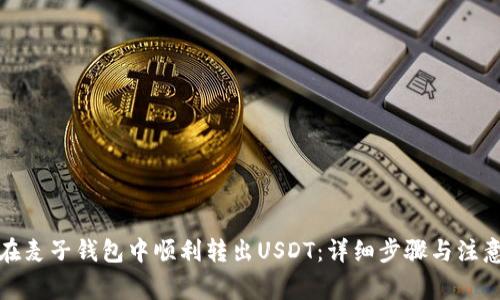 如何在麦子钱包中顺利转出USDT：详细步骤与注意事项