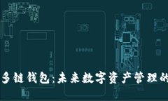 SV区块链多链钱包：未来数