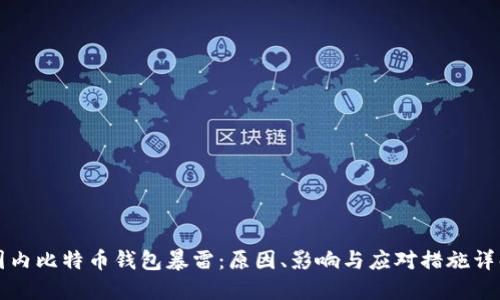 国内比特币钱包暴雷：原因、影响与应对措施详解