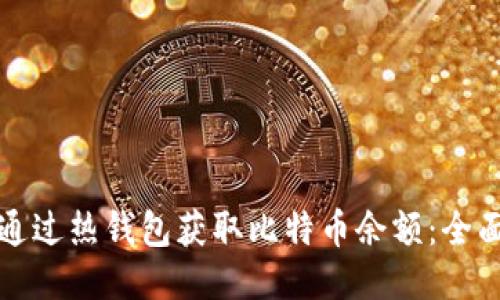 如何通过热钱包获取比特币余额：全面指南