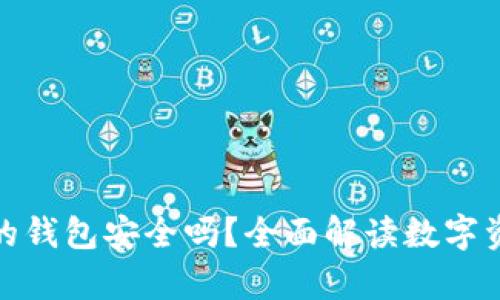 存虚拟币的钱包安全吗？全面解读数字资产安全性