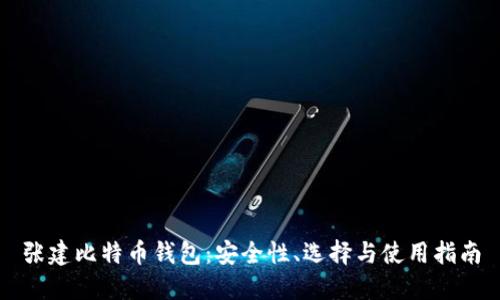 张建比特币钱包：安全性、选择与使用指南