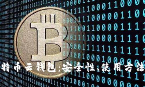 全面解析比特币云钱包：安全性、使用方法及最佳选择