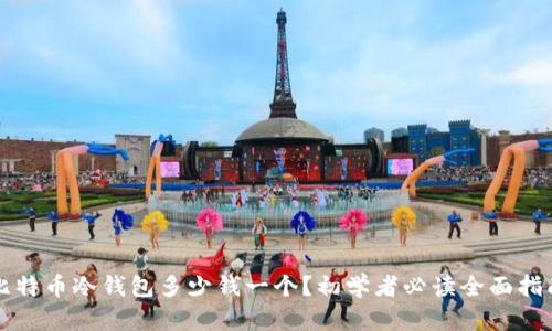 比特币冷钱包多少钱一个？初学者必读全面指南