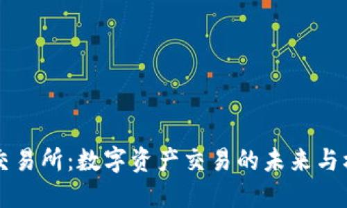 IM交易所：数字资产交易的未来与机遇