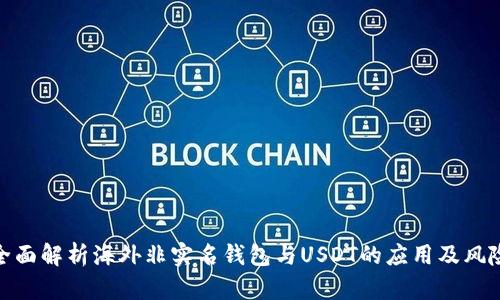 全面解析海外非实名钱包与USDT的应用及风险