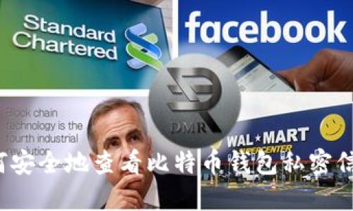 如何安全地查看比特币钱包私密信息？