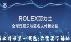 中国比特币第一钱包：你