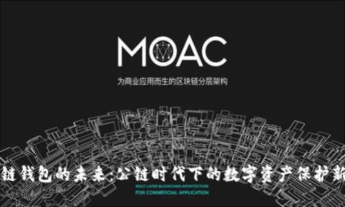 区块链钱包的未来：公链时代下的数字资产保护新策略