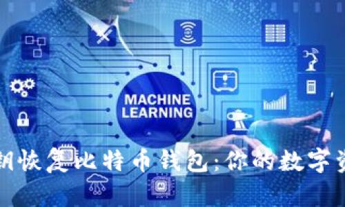 如何通过私钥恢复比特币钱包：你的数字资产安全指南