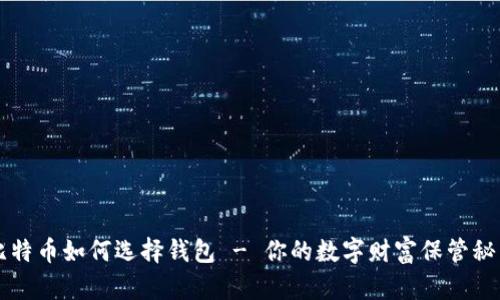 比特币如何选择钱包 - 你的数字财富保管秘籍