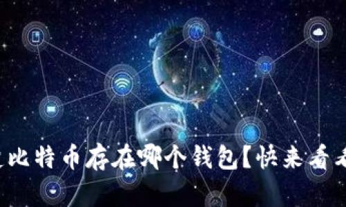 你真的搞不清楚比特币存在哪个钱包？快来看看这些实用技巧！
