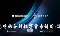 区块链生态中的各种数字