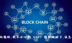 意外的转账：我不小心把