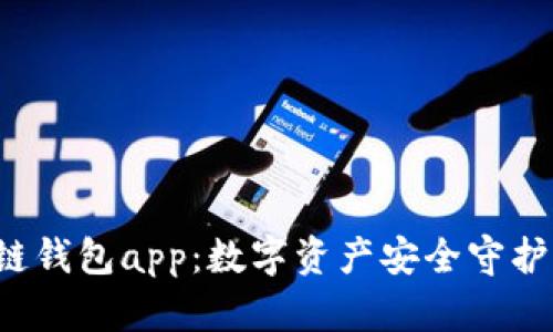 优盾区块链钱包app：数字资产安全守护的新选择！