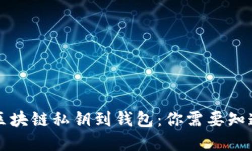 如何轻松导入区块链私钥到钱包：你需要知道的步骤和提示