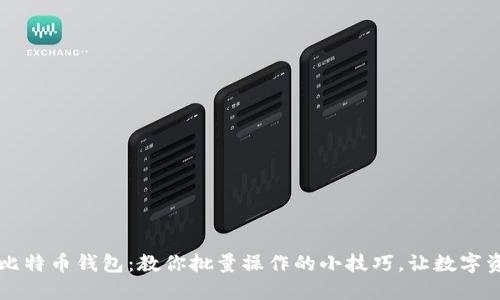 高效管理比特币钱包：教你批量操作的小技巧，让数字资产更安全