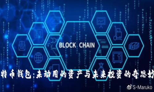 比特币钱包：未动用的资产与未来投资的奇思妙想
