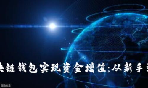 如何通过静态区块链钱包实现资金增值：从新手到高手的完整指南
