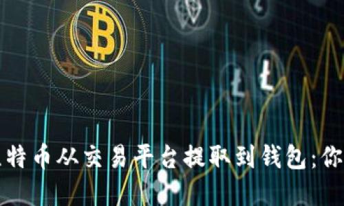 如何安全地将比特币从交易平台提取到钱包：你的资产保护指南