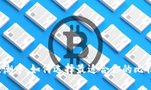 在数字浪潮中，如何选择最适合你的比特币钱包？