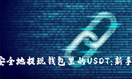 如何快速安全地提现钱包里的USDT：新手必看指南！