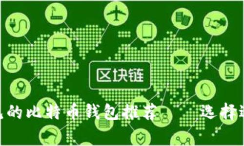 全面解析：2023年常见的比特币钱包推荐——选择适合你的理想存储方案