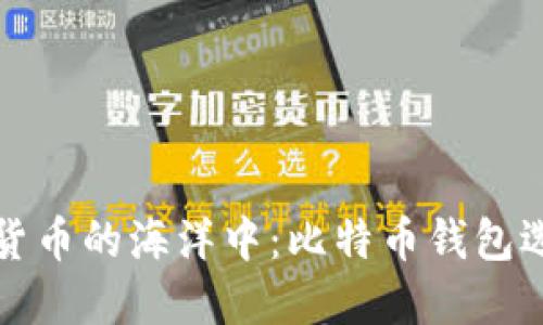 在数字货币的海洋中：比特币钱包选择指南