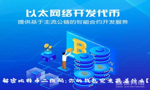 解密比特币二维码：你的钱包究竟藏着什么？