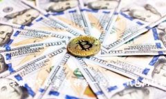 成为数字财富守护者：选