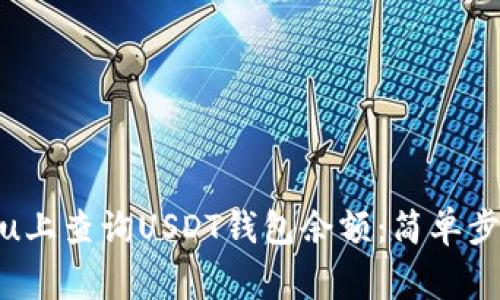 如何在Ubuntu上查询USDT钱包余额：简单步骤与注意事项