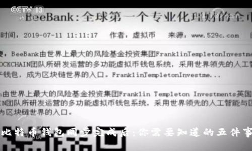 比特币钱包同步完成后：你需要知道的五件事