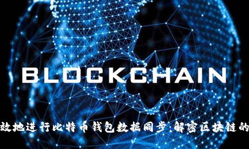 如何高效地进行比特币钱包数据同步：解密区块链的新时代