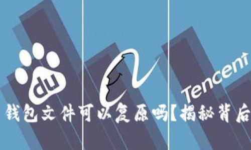 比特币钱包文件可以复原吗？揭秘背后的真相