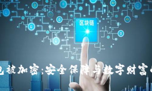 比特币钱包被加密：安全保障与数字财富的双重考量
