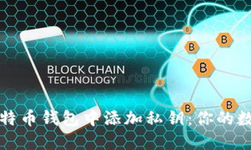 如何安全地在比特币钱包中添加私钥：你的数字资产保护指南